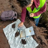 Quand la préservation des arbres devient un pilier de l’aménagement urbain, Urbasense est là pour accompagner chaque étape