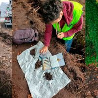 Témoignage partenaire : Conserver les arbres en place, c’est préserver un système vivant et protéger un biotope