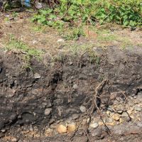 A quoi sert un diagnostic agro-pédologique ? 
