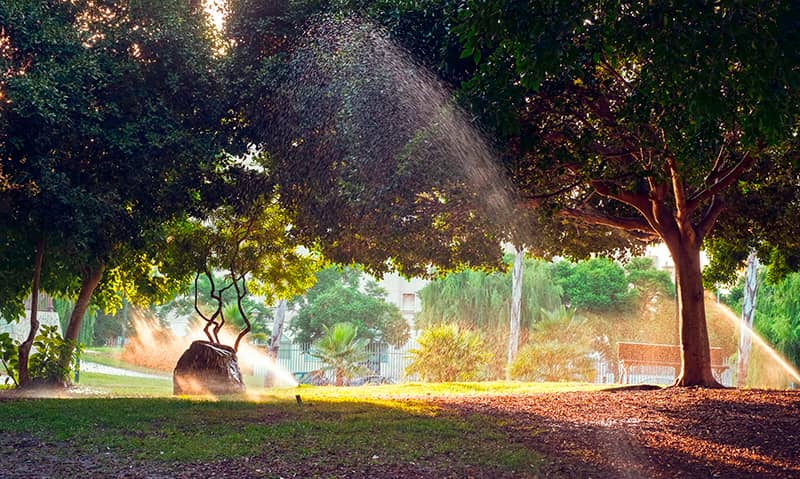 Photo arrosage parc