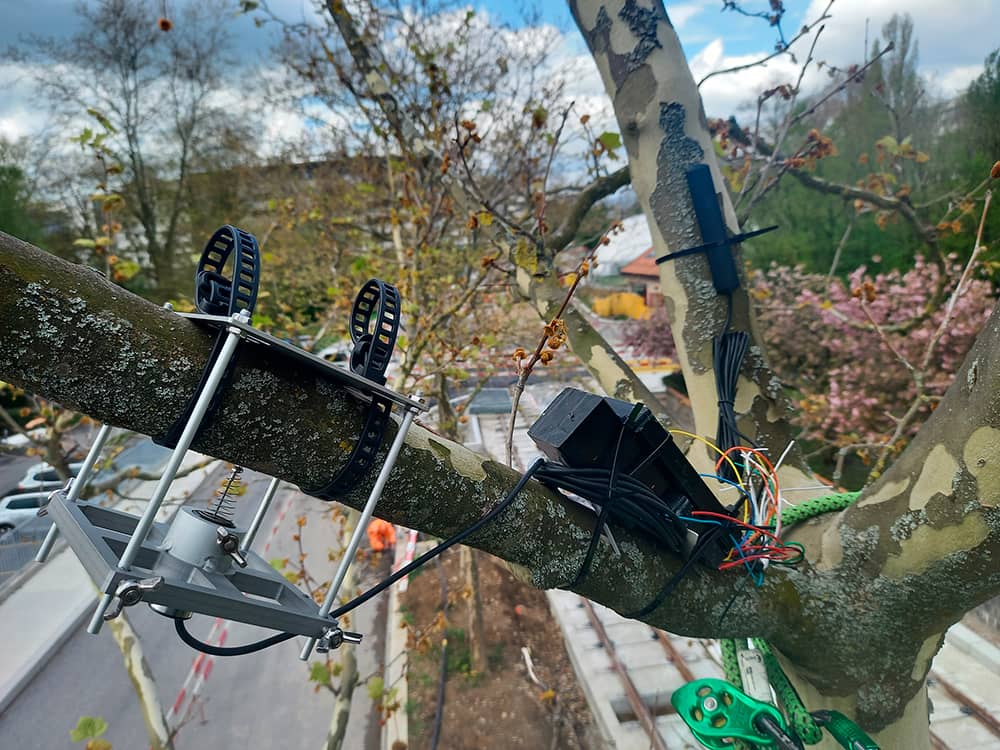 Photo capteurs micro dendrométrie dans un arbre