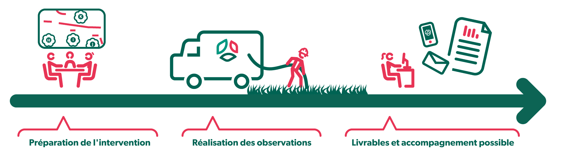 Schéma diagnostic racinaire